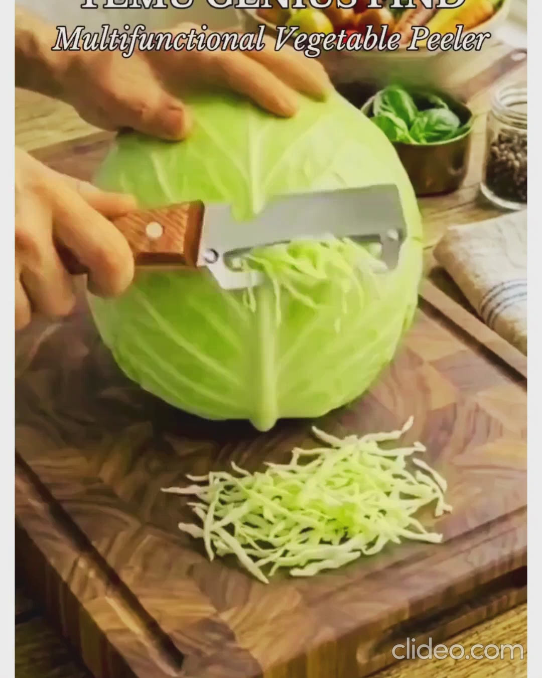 Stainless Steel Vegetable Peeler & Bottle Opener with Wooden Handle